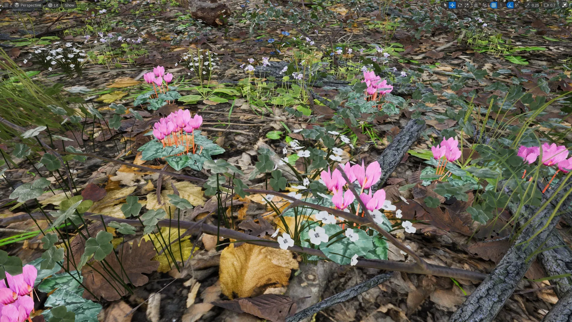 Cyclamen