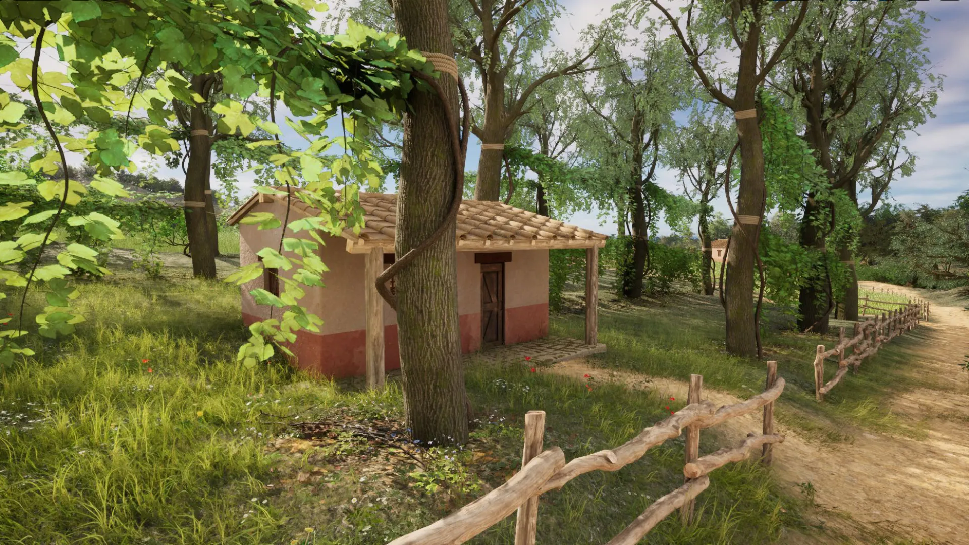 Vineyard and farm